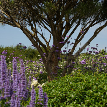 West Cork Coastal Home