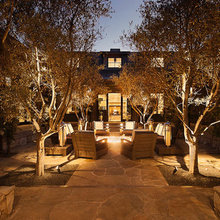 Courtyard/Entry