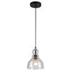 1-Light Pendant, Oil Rubbed Bronze Finish With Clear Seeded Glass