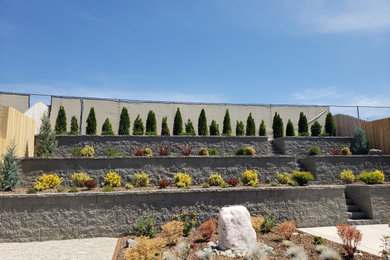 Inspiration for a large traditional drought-tolerant and full sun backyard retaining wall landscape in Sacramento.