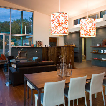 Elk Rapids Modern