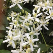 jim simpson's photo