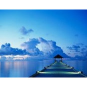 Patrick Francis's photo