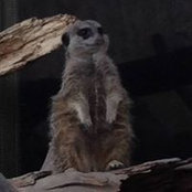 Michelle Perrault's photo