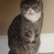 Shauna Cameron's photo
