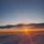 michelle_robindell