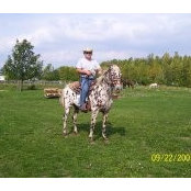 Samuel Alvord's photo