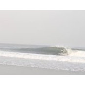 Daniel Troian's photo