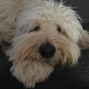 Beth Grahovac Deuel's photo