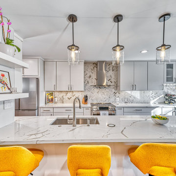 Oakton Contemporary Kitchen Remodel