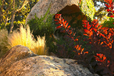 Idee per un giardino mediterraneo