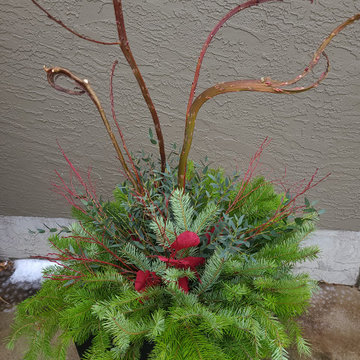 Seasonal Projects - Winter 2022 Medicine Hat