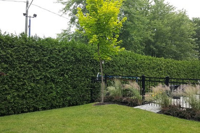 Cedar Trimming