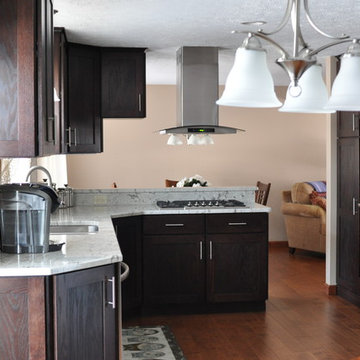 Kitchen Remodel, Mentor 2014