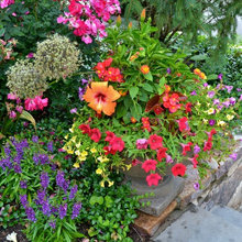 Landscape Ideas