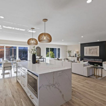Fremont Full Home Remodel