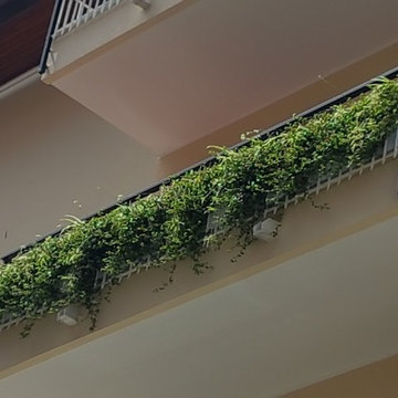 Soluzioni verdi