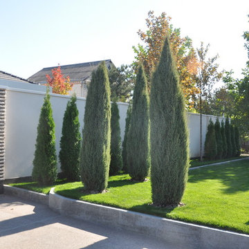 Private contemporary garden / Частный современный сад.