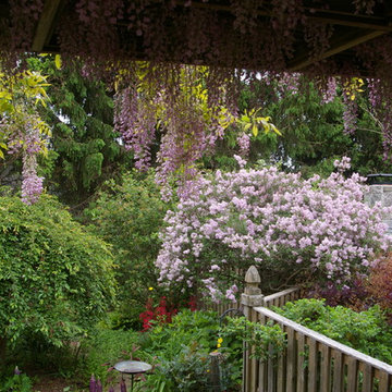 Courtyard Garden