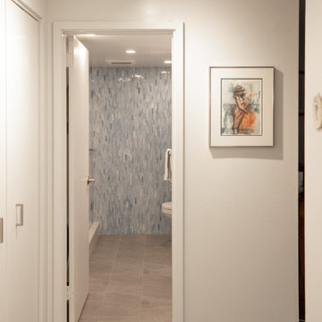 Contemporary Blue Mosaic Luxury Master Bathroom Remodel