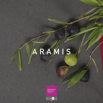 HanStone | ARAMIS | Bold and welcoming
