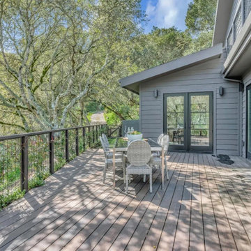 Homestead Valley Modern