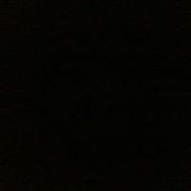 Dmitry Petrin's photo