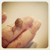 Myrtille Assenat's photo