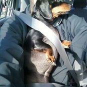 Travis Yost's photo