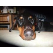James Mcculloch's photo