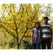 Dileep Krishnan's photo