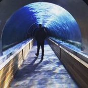 Connor Parry Walterss foto