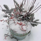 Amy Johnson-Morin's photo