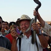 Roberto Mitrotti's photo