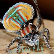 Stephen Pinto's photo