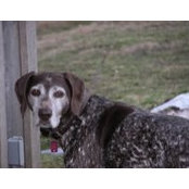 Sandra Porterfield's photo