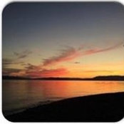 Robin Hardy's photo