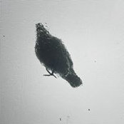 Eszter Arató's photo