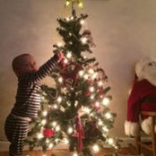 Kelly Kitchen's photo