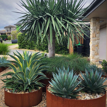 Low Maintenance Front Yard Makeover