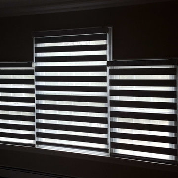 Springblinds Premium Zebra Dual Sheer Shades