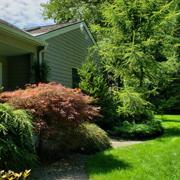 Design around existing trees