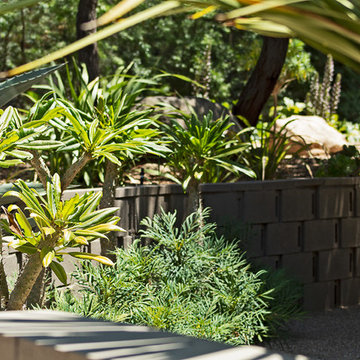 New 1-Year-Old Garden