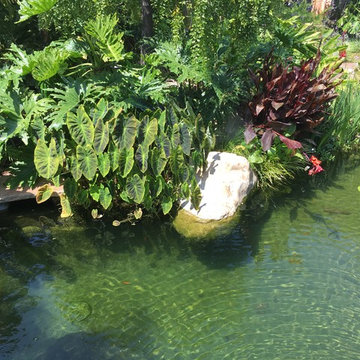 Garden Ponds