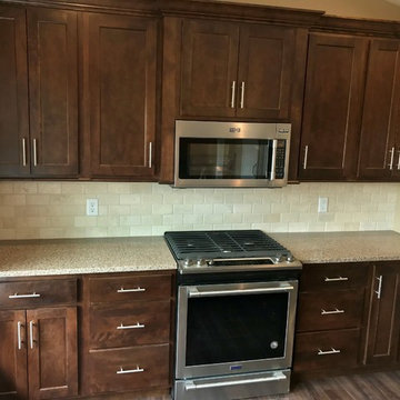 Sherrard  IL New Construction Koch Cabinets Birch Mocha MSI Quartz