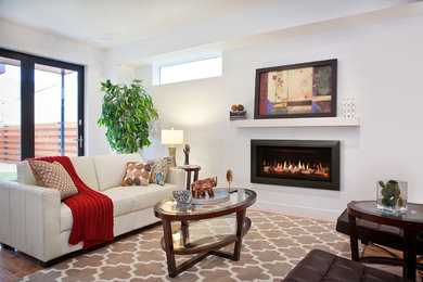 Inspiration for a transitional living room remodel in Minneapolis