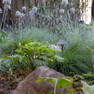 Sensory Garden, Cupertino