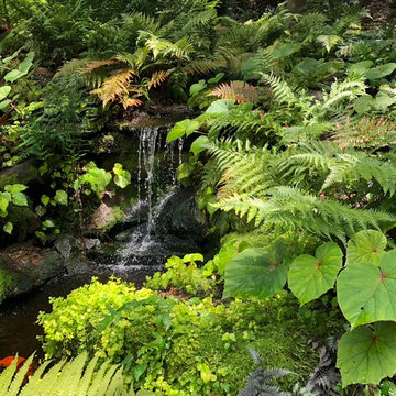 Waterfall after a rain.