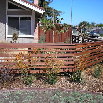San Jose Modern