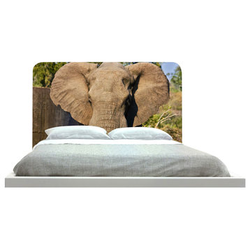 "Elephant" Headboard